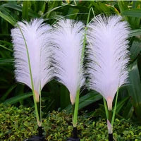 Solcelledrevet | Flet | Udendørs Belysning | Dekorative Lamper | Realistisk Rørform | Rustfrit Stål | Havelampe | ABS Materiale | Sprøjtestøbt