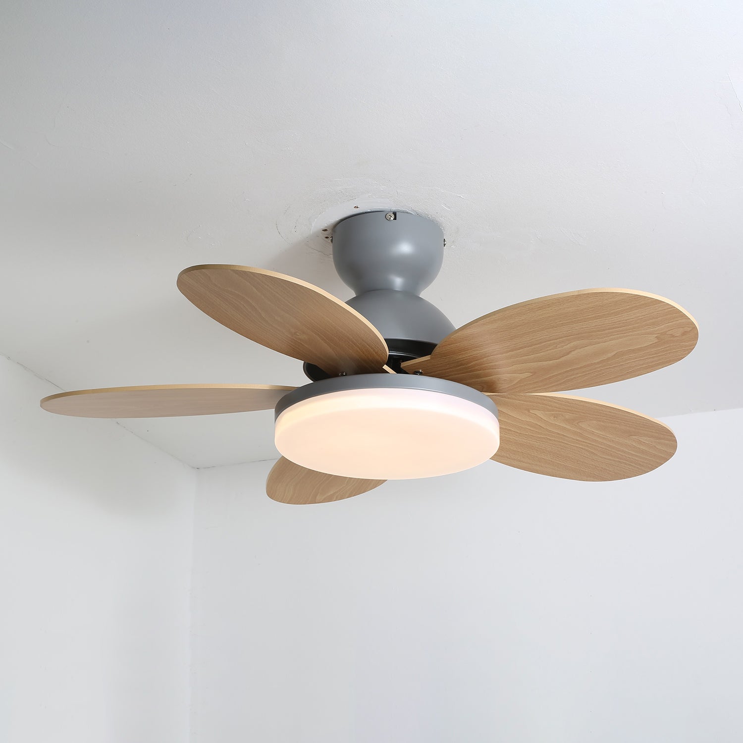 Maude | Ceiling Fan Light