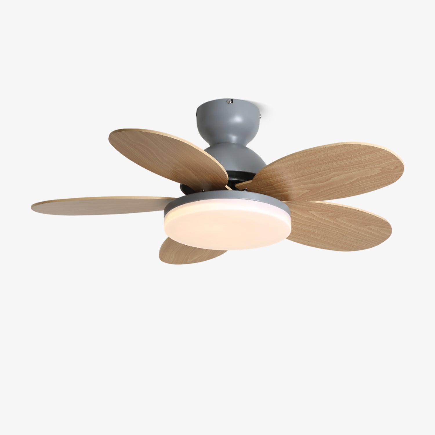 Maude | Ceiling Fan Light