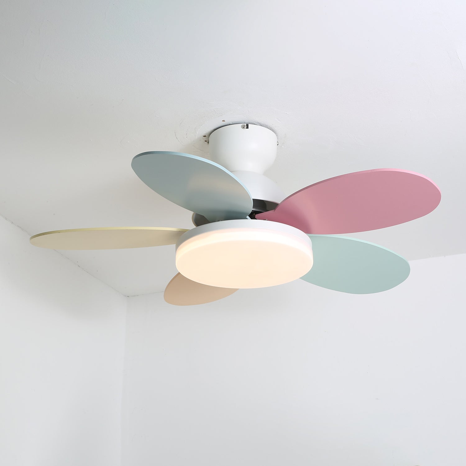 Maude | Ceiling Fan Light